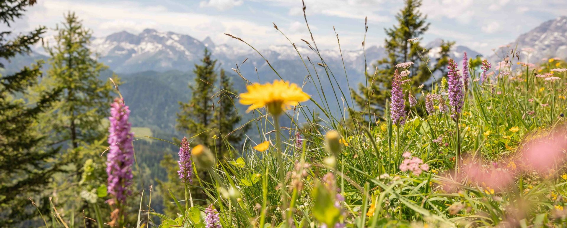 Sommer in Berchtesgaden