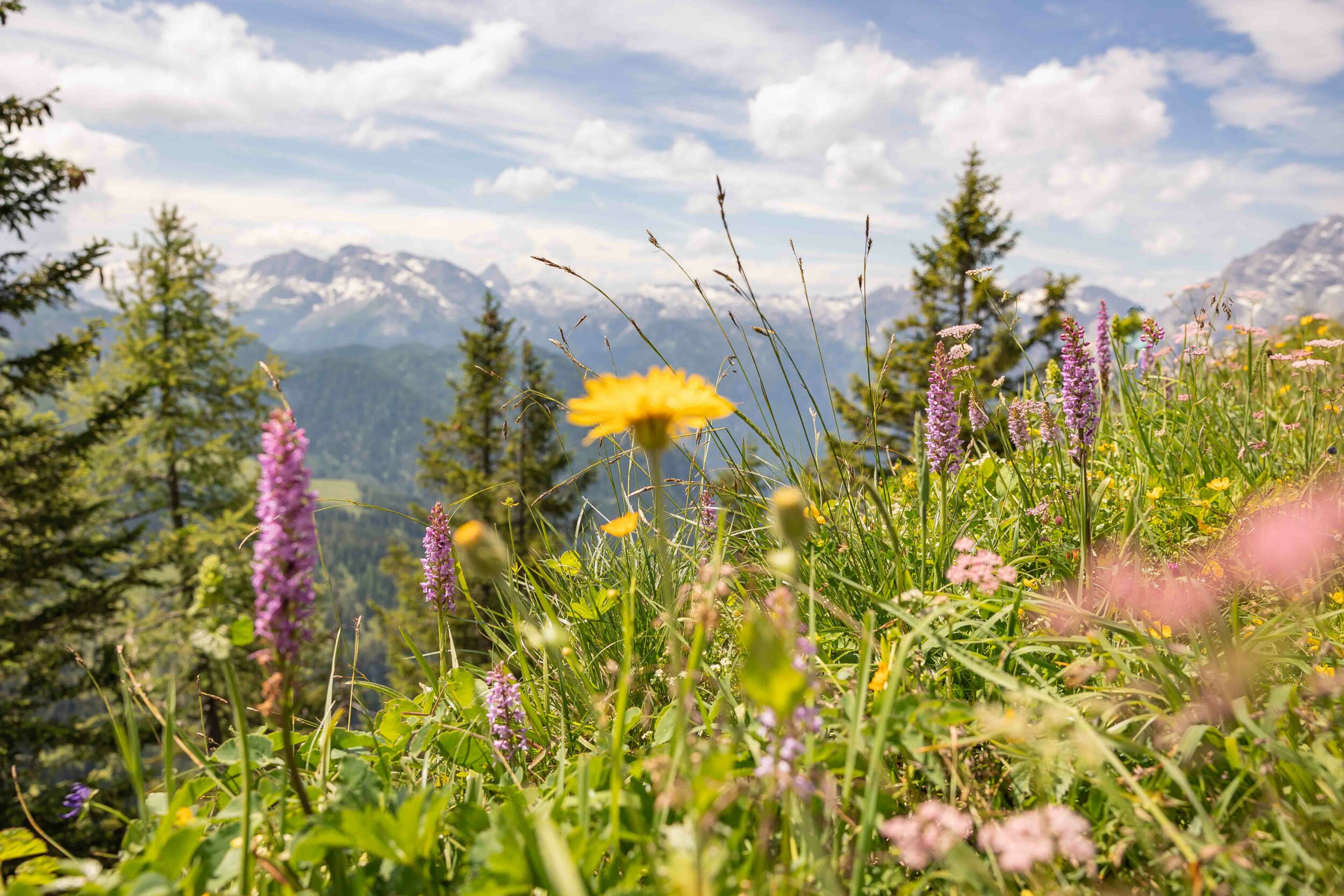 Sommer in Berchtesgaden