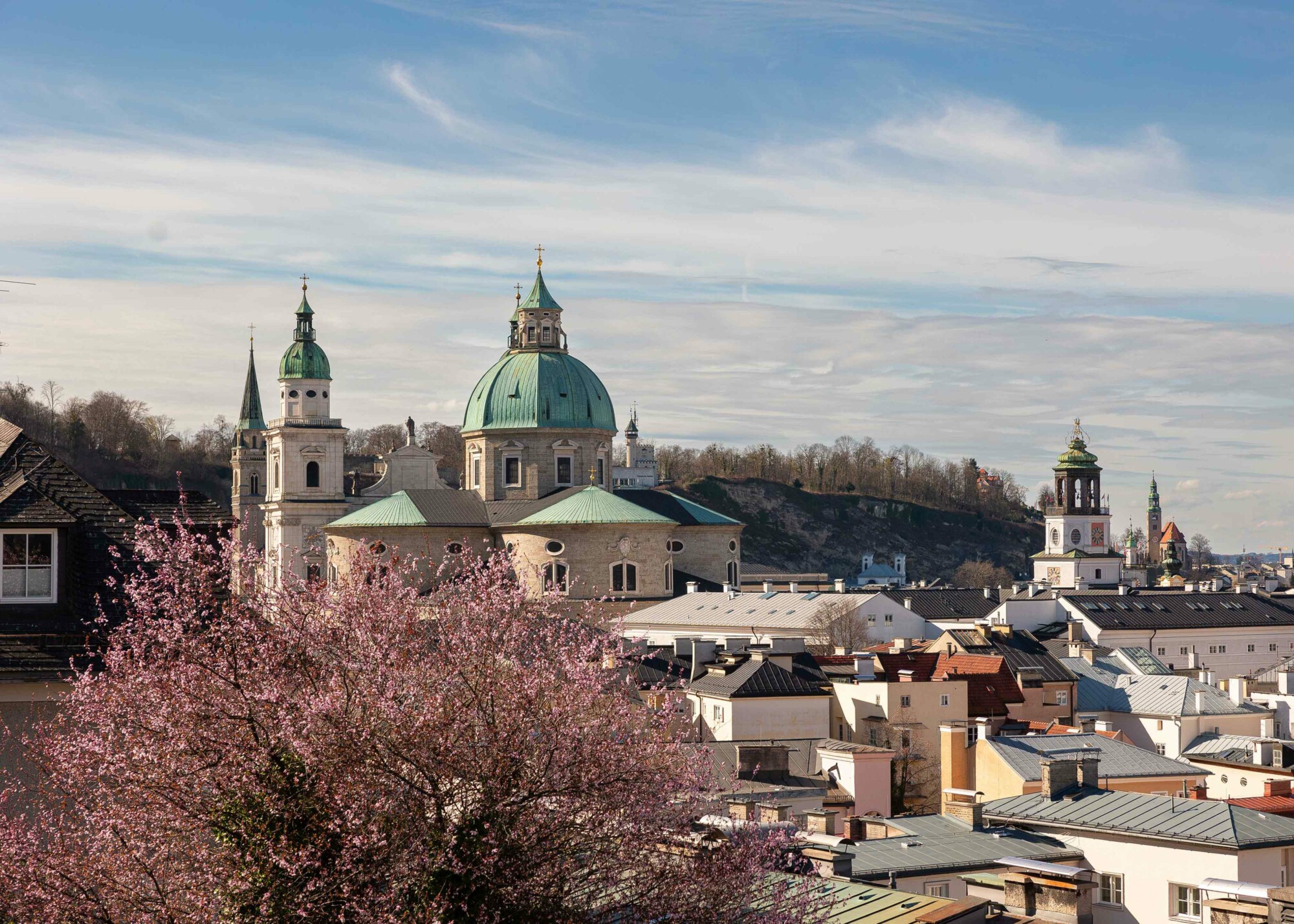 Ein absolutes Highlight: Ein Ausflug nach Salzburg zur Kirschblütenzeit